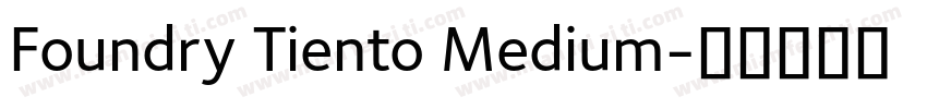 Foundry Tiento Medium字体转换